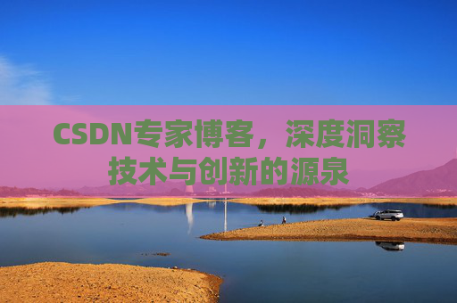 CSDN专家博客，深度洞察技术与创新的源泉